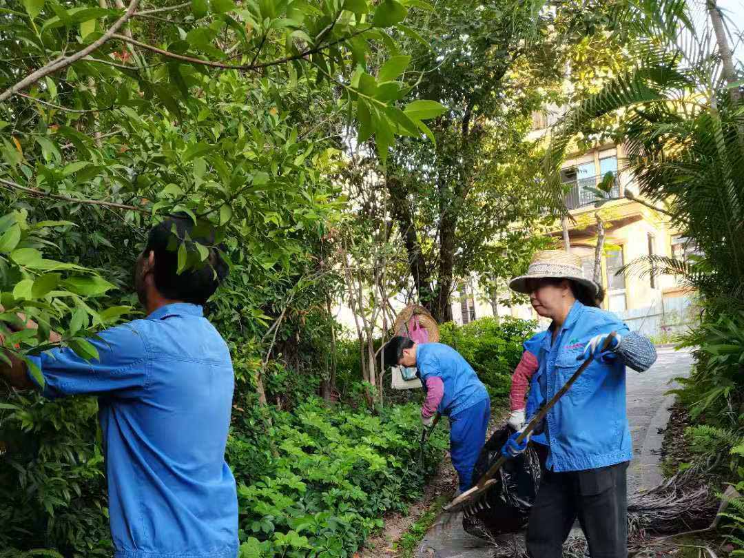 小區(qū)綠化養(yǎng)護清理雜草樹枝