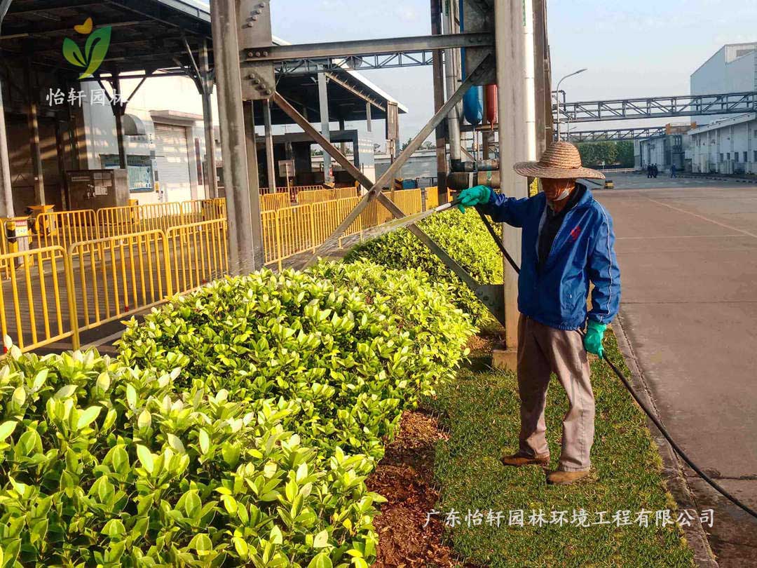 2佛山南海本田零部件制造有限公司工廠綠化養(yǎng)護(hù)