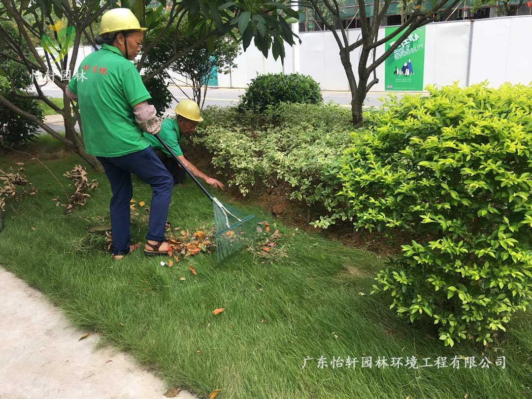 廣州御湖名邸小區(qū)綠化養(yǎng)護(hù)