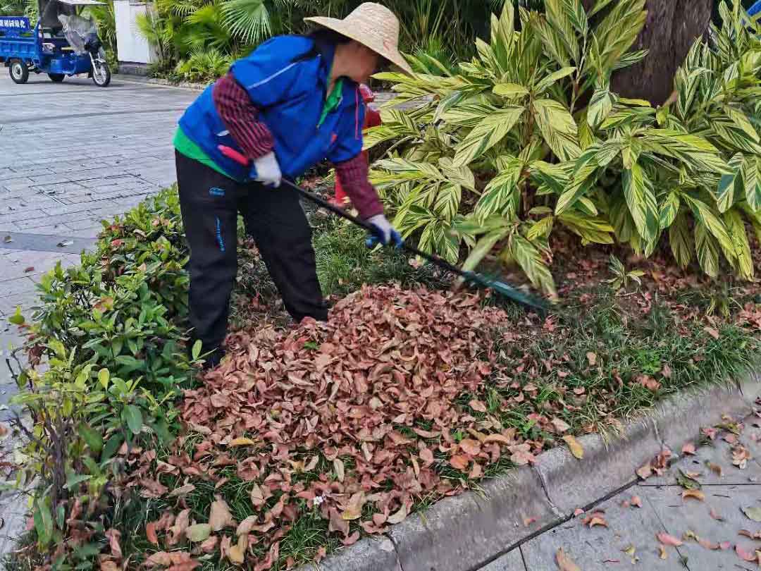 綠化公司工人清理綠化垃圾