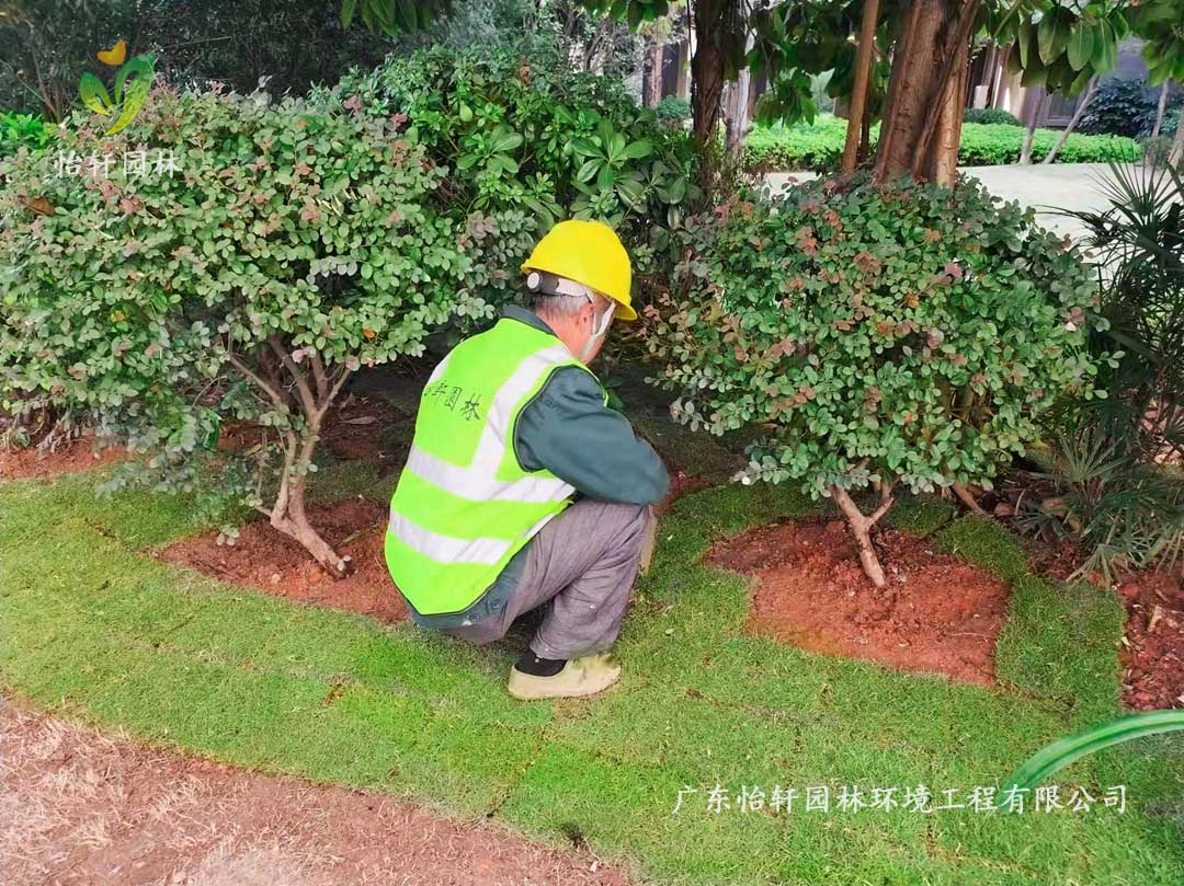 廣州雪域瀾庭小區(qū)綠化養(yǎng)護工作現(xiàn)場圖