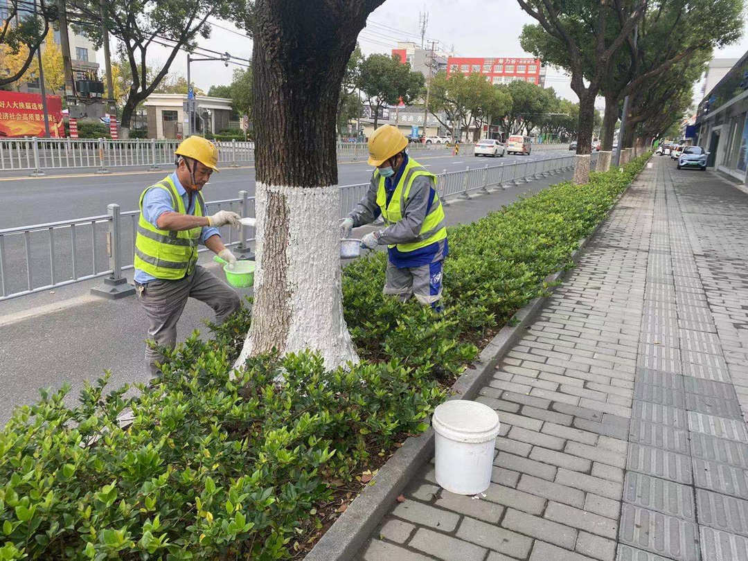 綠化養(yǎng)護(hù)苗木涂白