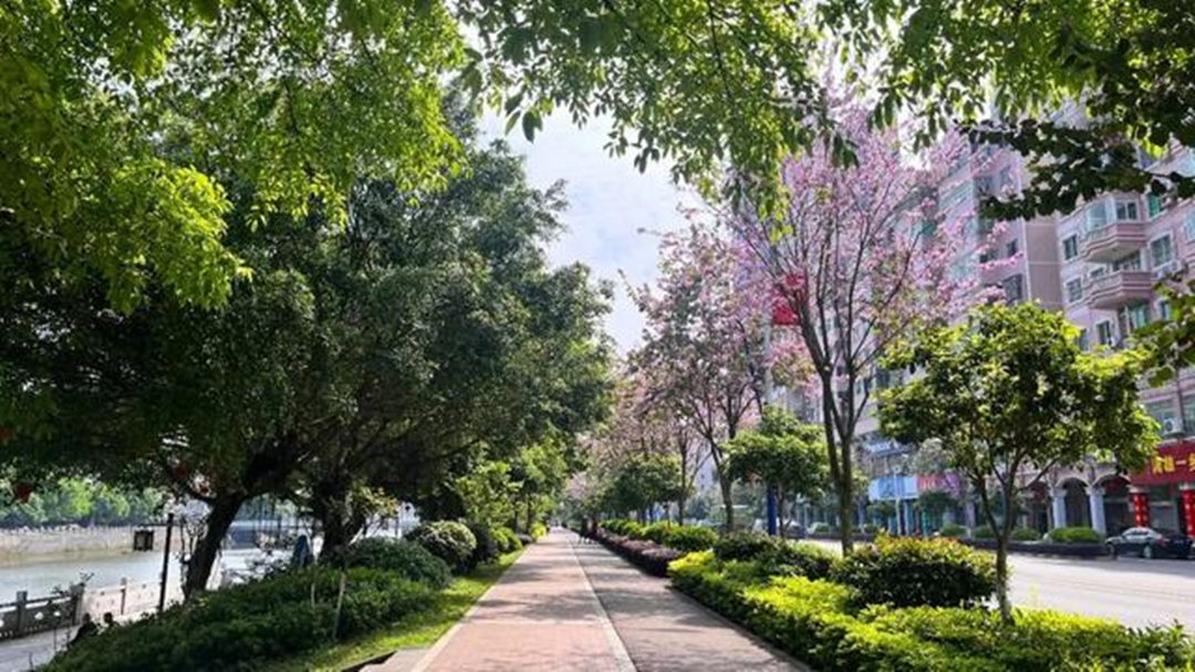 南雄：以創(chuàng)建國家森林城市為抓手 共建美麗宜居城市