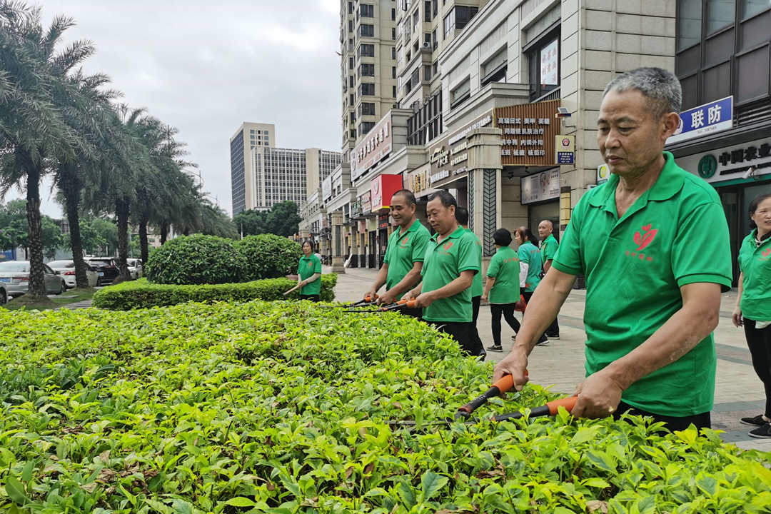 小區(qū)園林綠化養(yǎng)護(hù)修剪