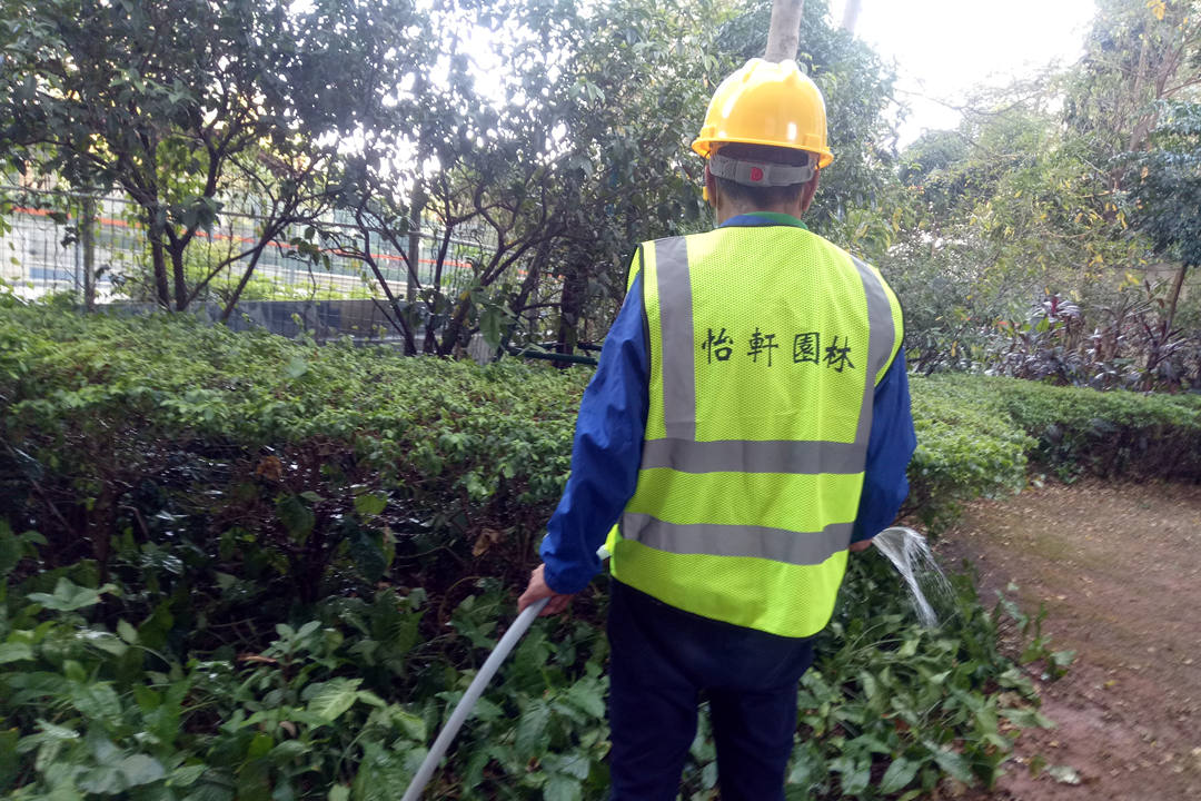 夏季綠化養(yǎng)護澆水