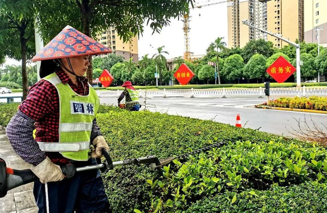 園林綠化養(yǎng)護(hù)灌木修剪